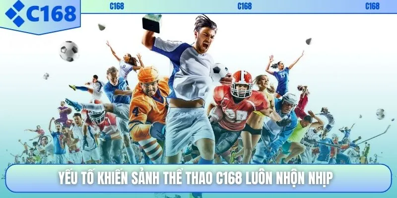 Yếu tố khiến sảnh thể thao C168 luôn nhộn nhịp