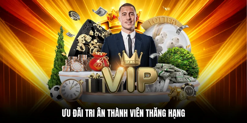 Ưu đãi tri ân thành viên thăng hạng